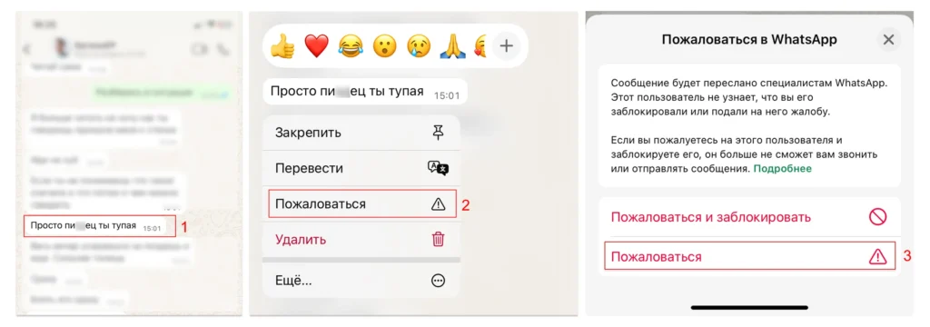 Жалоба на сообщение в WhatsApp Жалоба на оскорбление в WhatsApp как способ остановить травлю в интернете